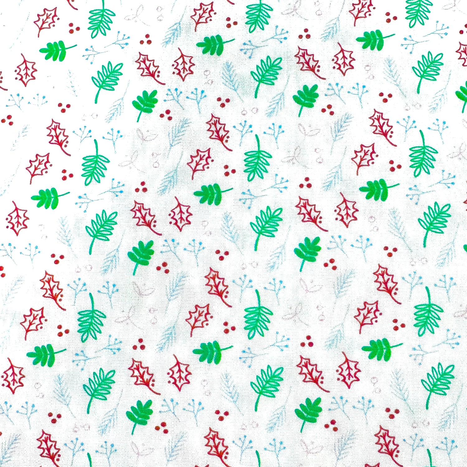 Holly Leaves