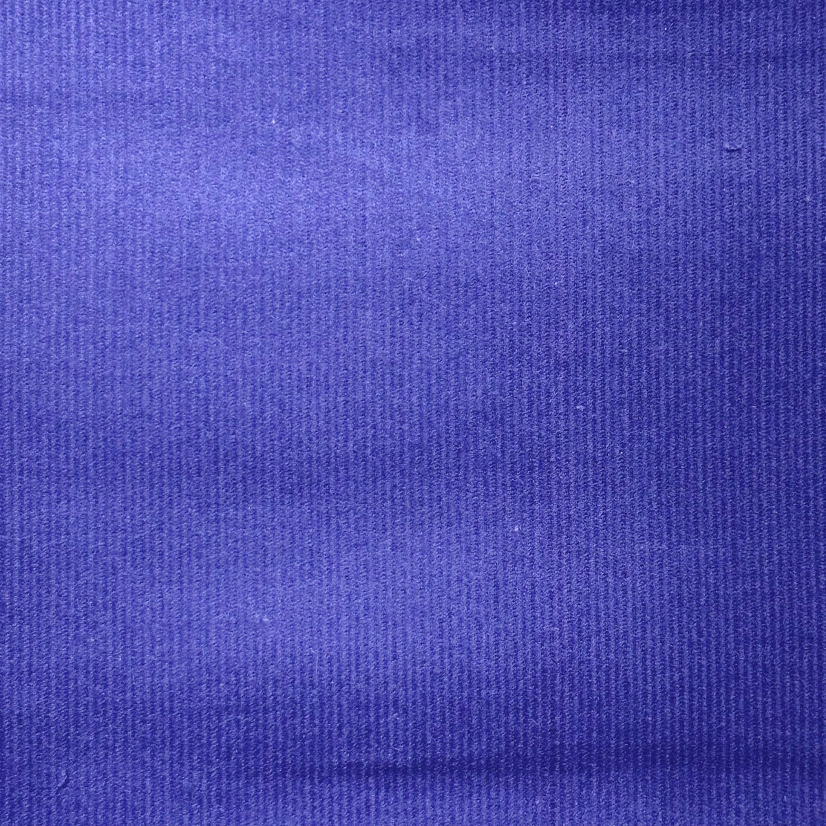 Royal blue corduroy fabric with fine vertical ribbed texture, solid color