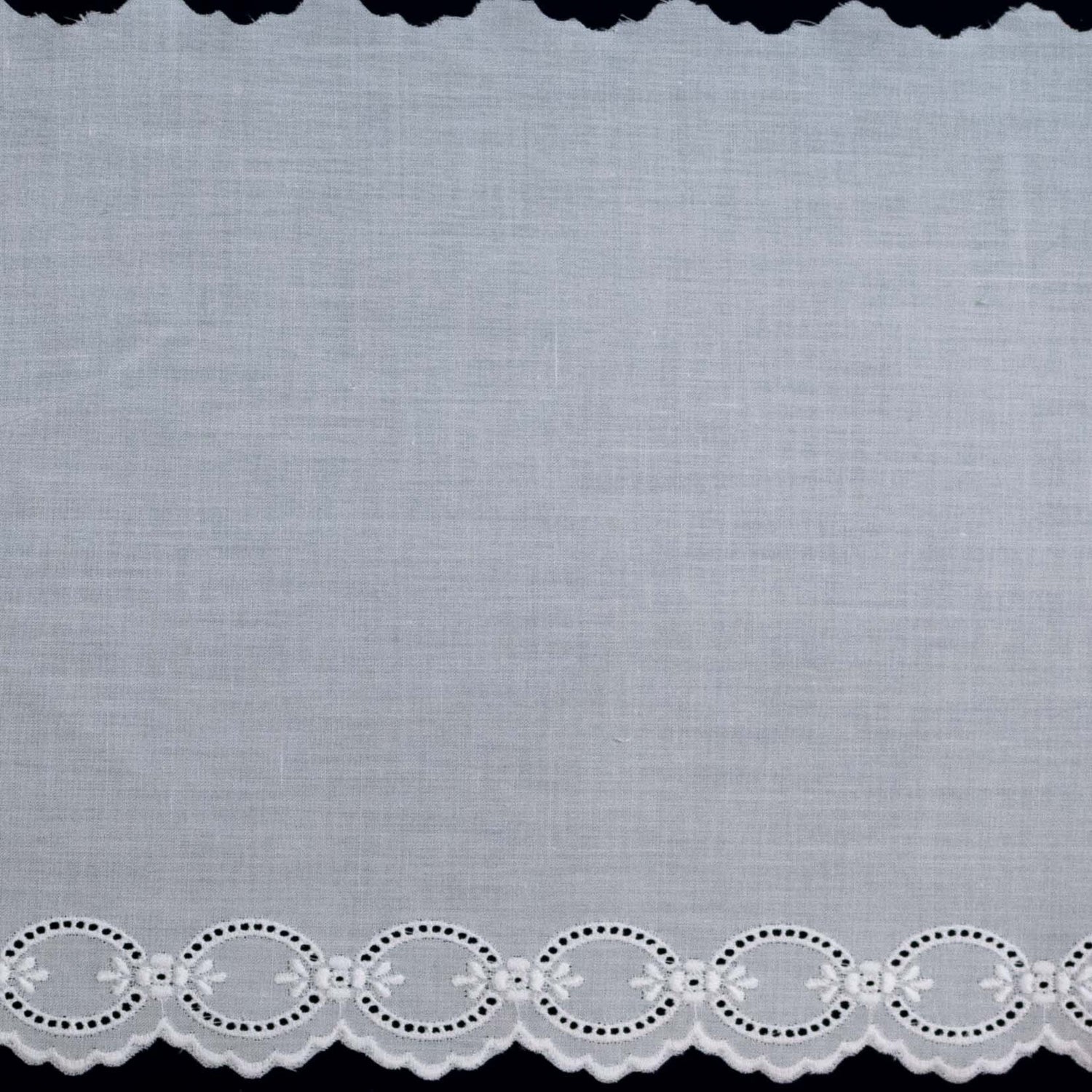 Swiss Embroidered Edging 100024 White Wide