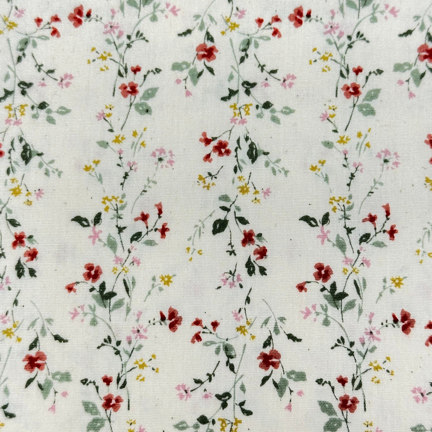 Delicate Wildflower