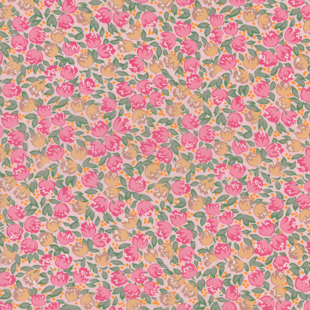 Dotty Lottie A