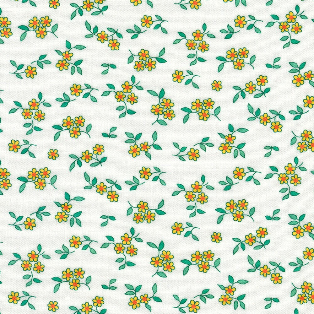 Daisy Butterscotch