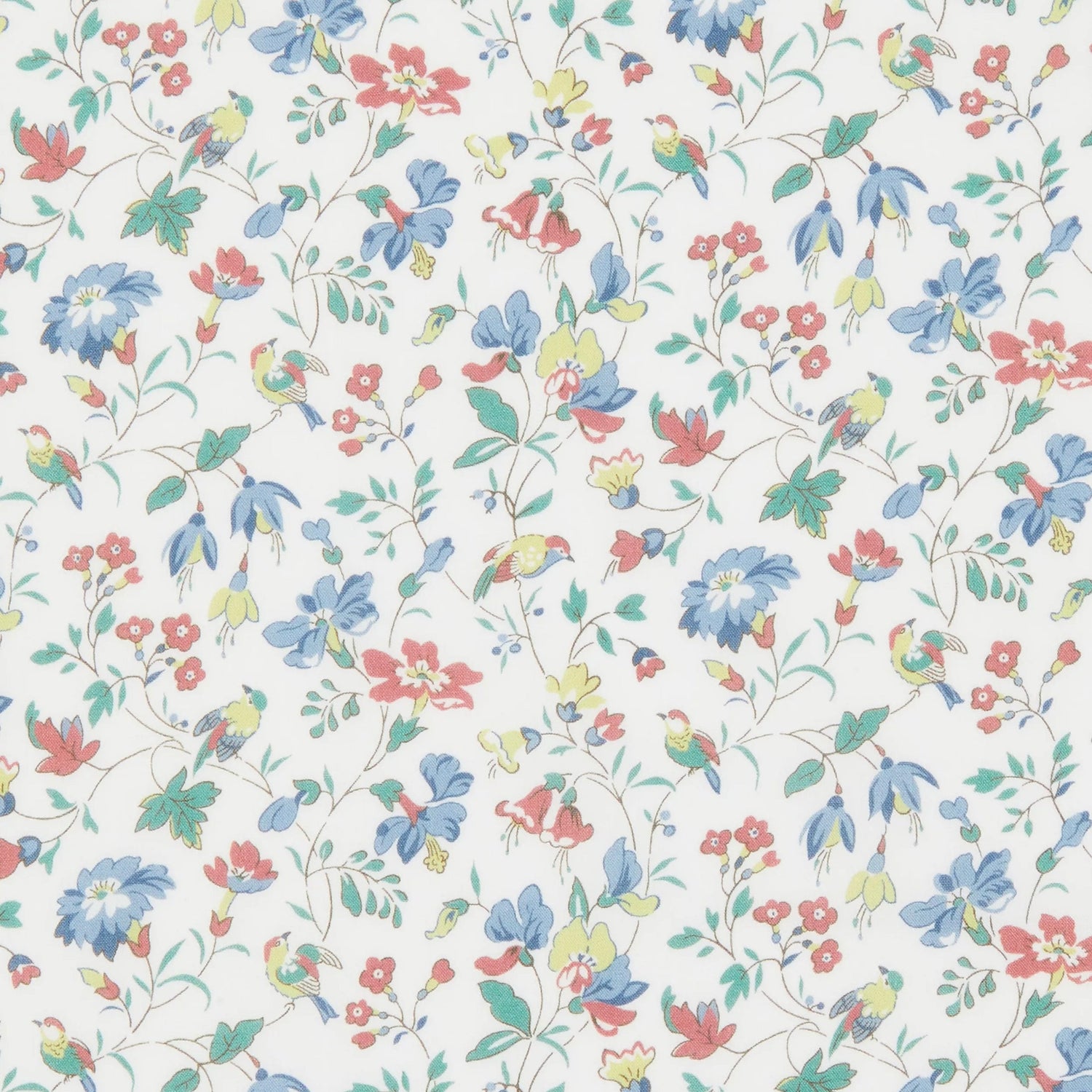 Iveta's Garden C