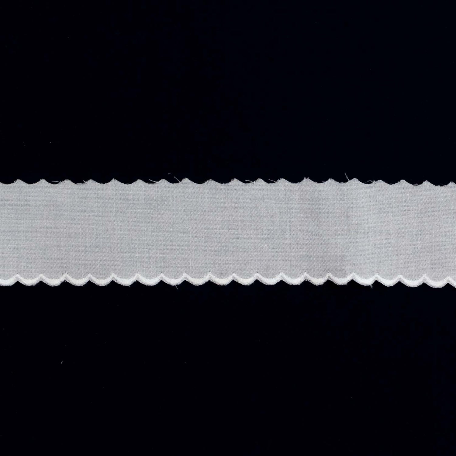 Swiss Embroidered Edging Scalloped 67526