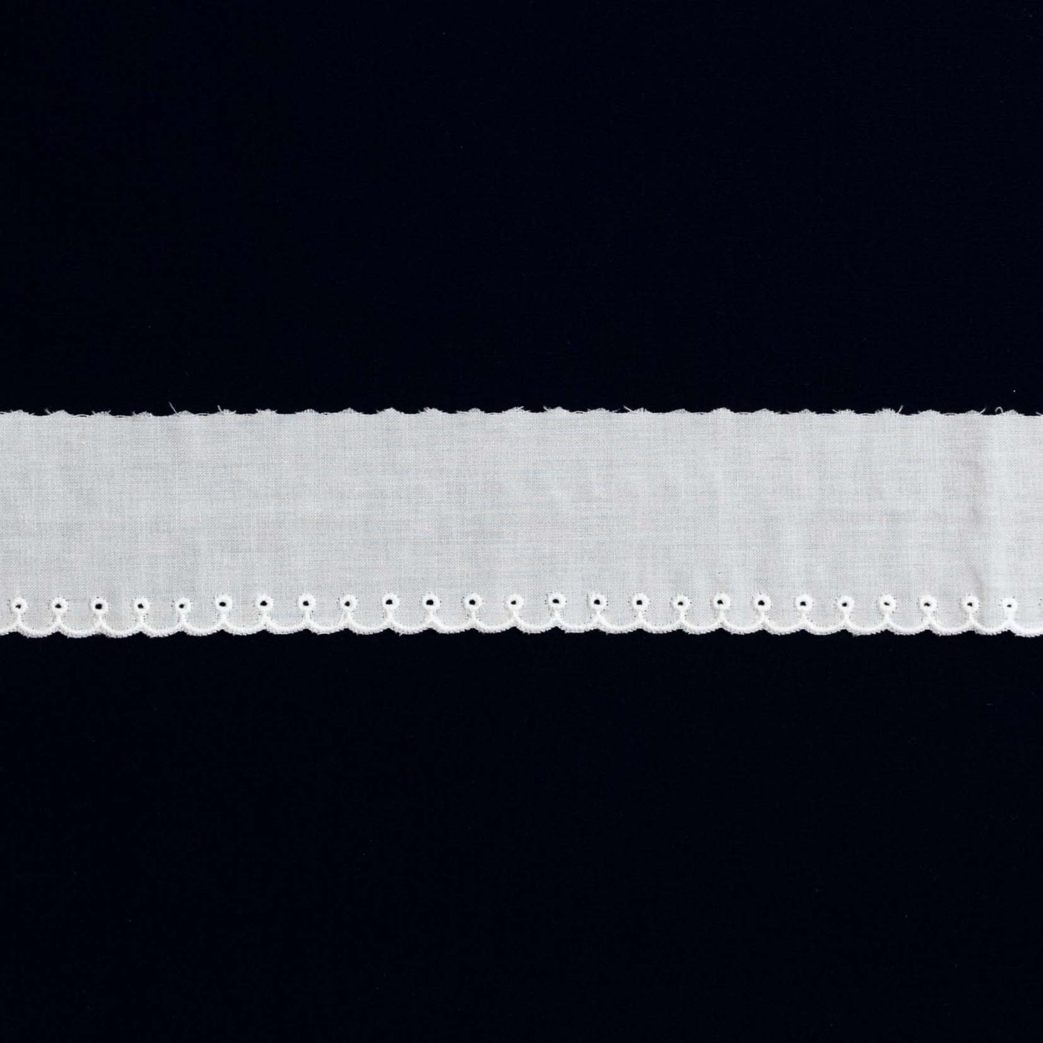 Swiss Embroidered Edging 100263 White