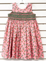 Pink floral smocked sleeveless girls dress size 4 with mistletoe print