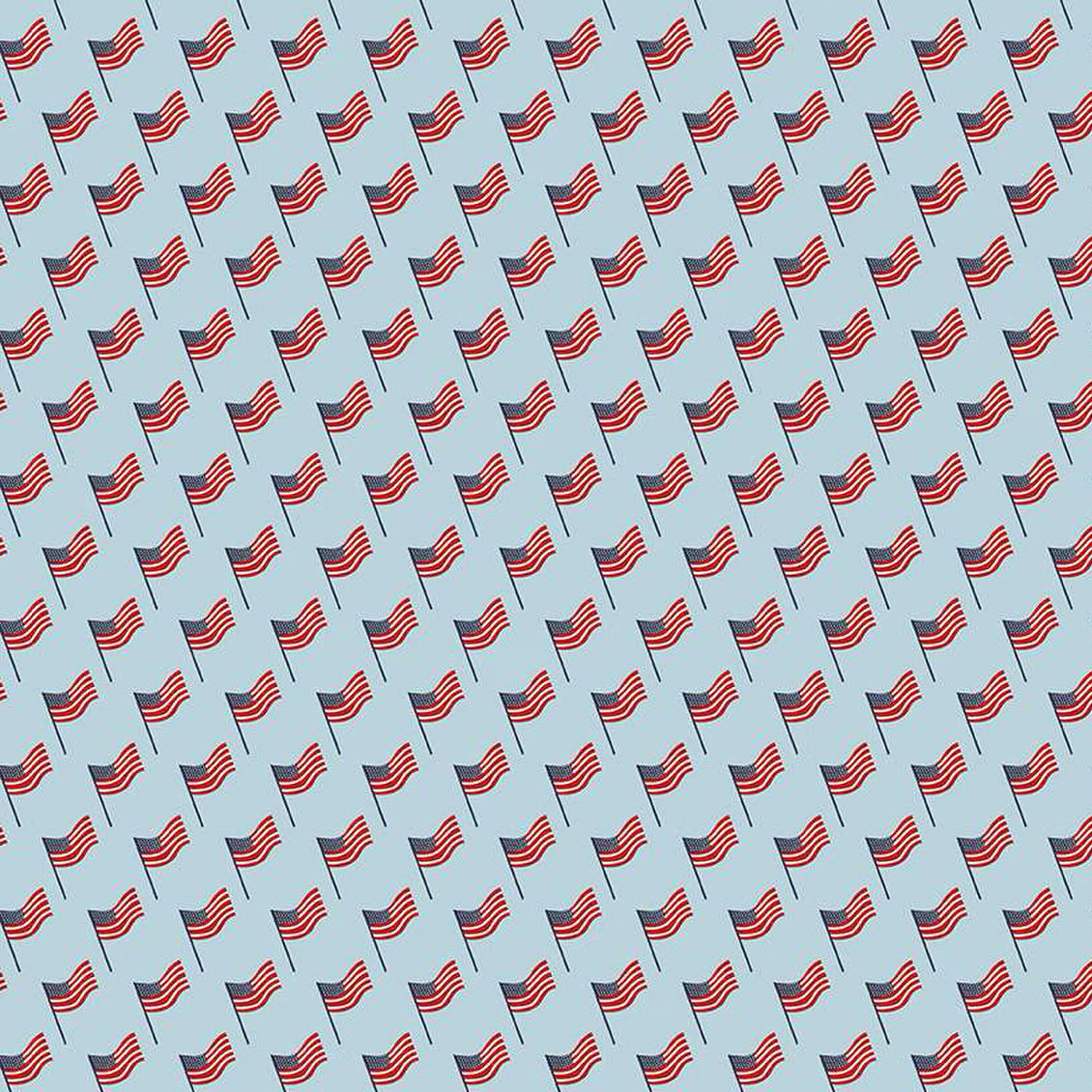 Stars and Stripes Forever Flags Sky
