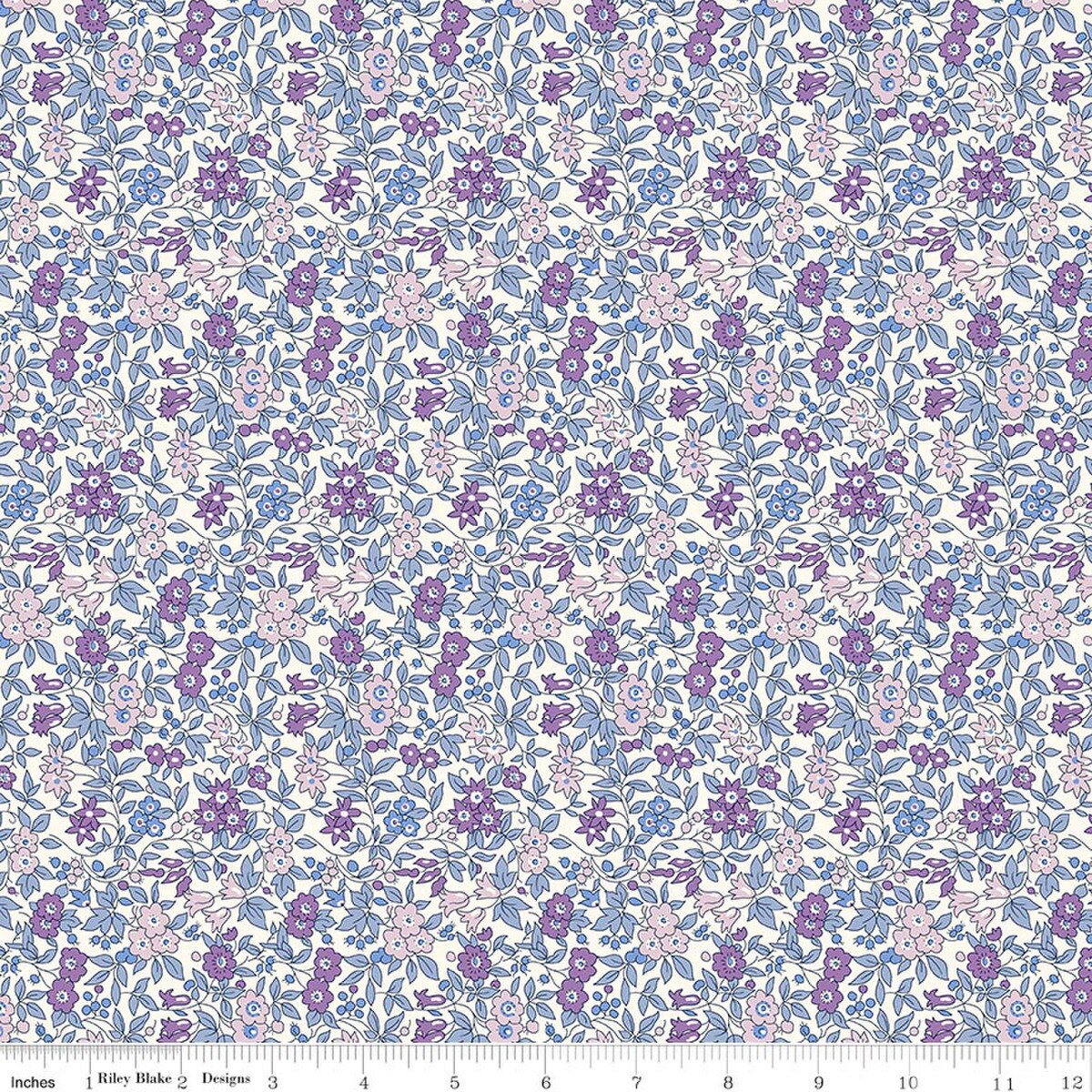 Everlasting Forget Me Not Blossom A