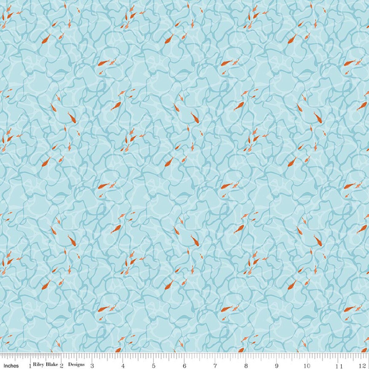 Reef Ocean Floor Sky