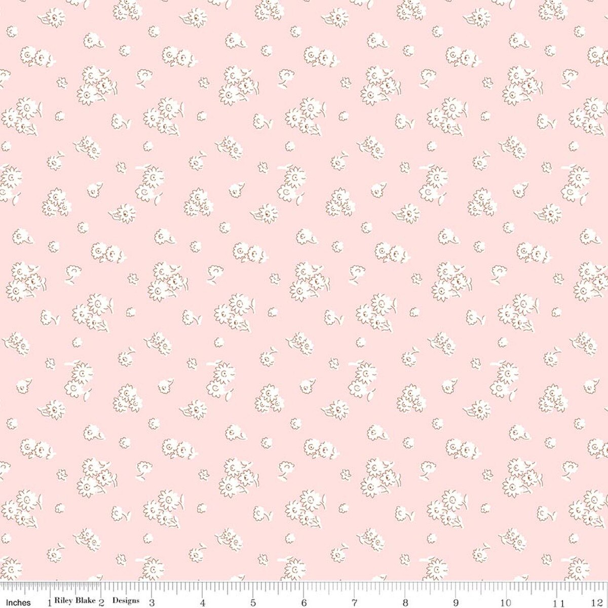 Everlasting Tumbling Daisy B