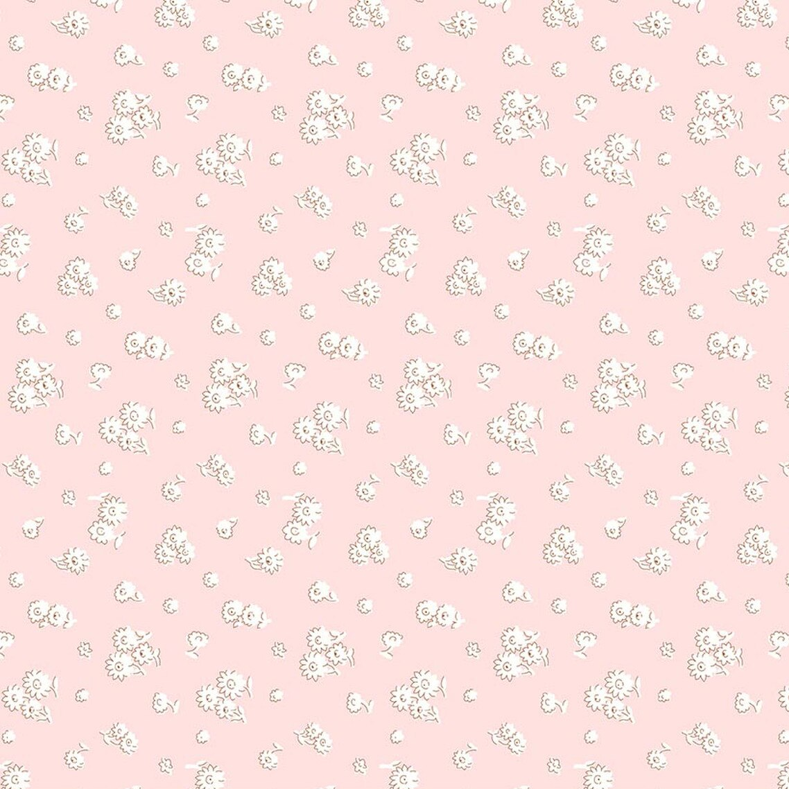 Everlasting Tumbling Daisy B
