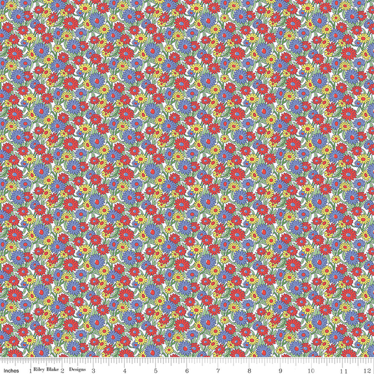 Heirloom Marguerite Meadow B