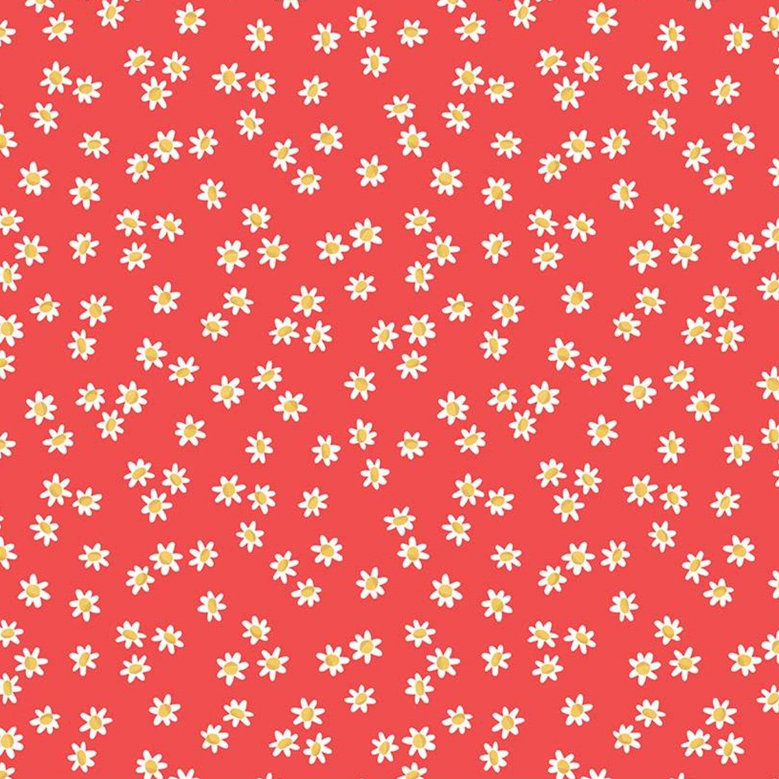 Daisy Field