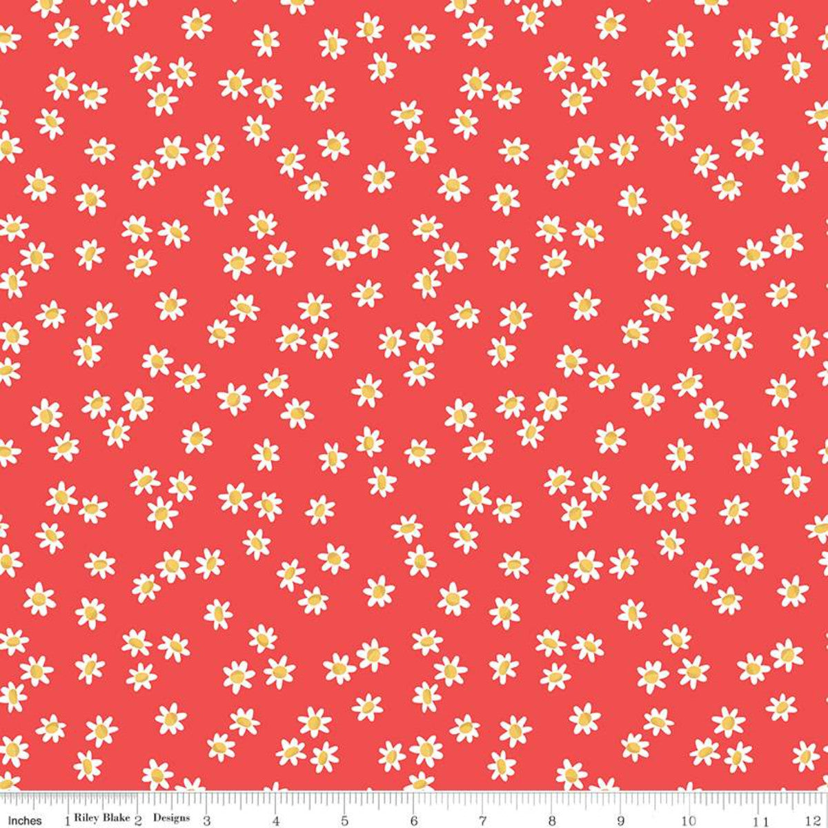 Daisy Field