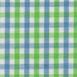 Blue and Green Check