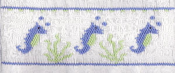 Sammy's Seahorses